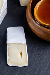 delicious soft cheese with white mold close-up