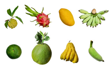 Assorted exotic fruits including dragon fruit, mango, bananas, citrus, and more, isolated on a...