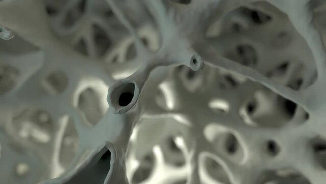 Macro close-up of the regrowing structure. Reconstruction of bones or other biological organs. Realistic 3D animation.