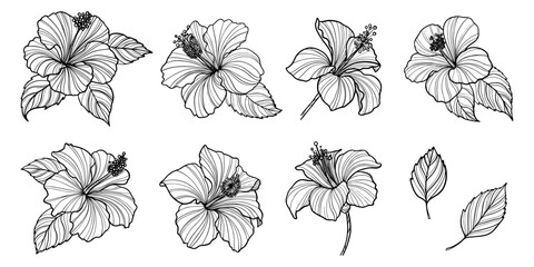Set of hand drawn hibiscus flower. Outline vector illustration with tropical flowers. - obrazy, fototapety, plakaty