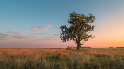 Fototapeta premium The stunning, calming morning or evening views are perfect for inspiring relaxation and relieving stress through natural tourism or as natural wallpaper images