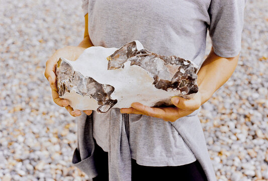 seven sisters details