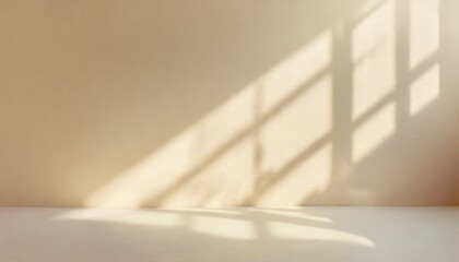 Sunlight shines on an empty space, and natural shadows are cast on the space.