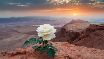 Foto auf Acrylglas the desert of the desert © Andreas