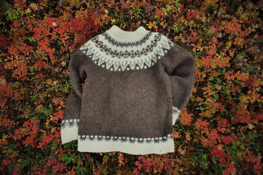 Wool sweater on the colourful autumn ground
