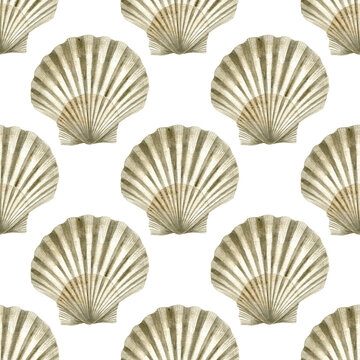 Seamless pattern of watercolor Seashell. Hand drawn illustration of sea Shell on white background. Colorful drawing of Scallop. Ocean Cockleshell marine underwater. For print decoration, fabric, wrapp