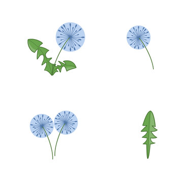 set of light blue flowers