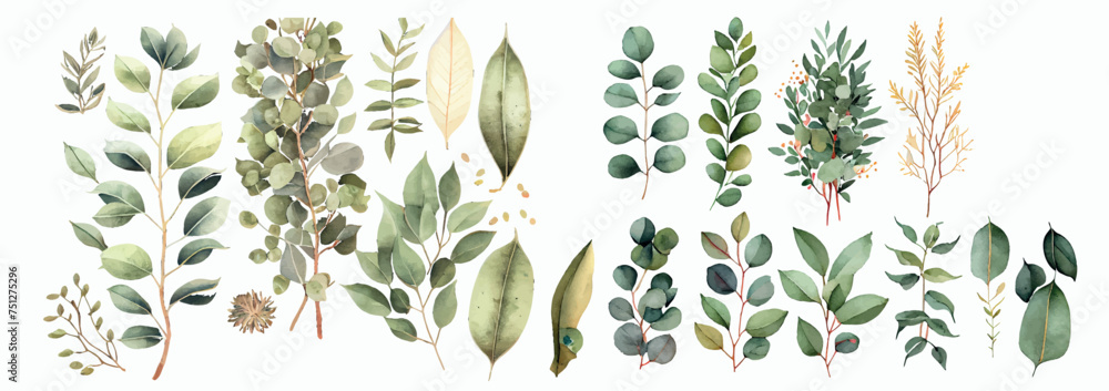 Poster elegant collection of hand-painted watercolor greenery: various types of leaves and branches for div
