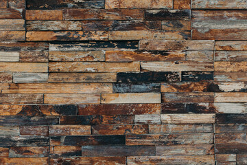 Rustic wood texture or background. Close-up.