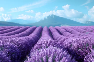 Zelfklevend Fotobehang Lavender field in Valensole, Provence France. © D