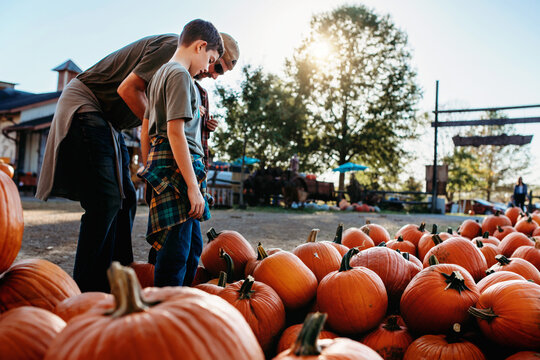 Pumpkin Patch