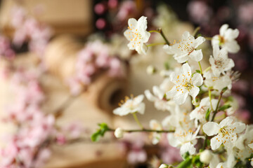 Spring twigs with flowers in a jar, on a dark wooden background.