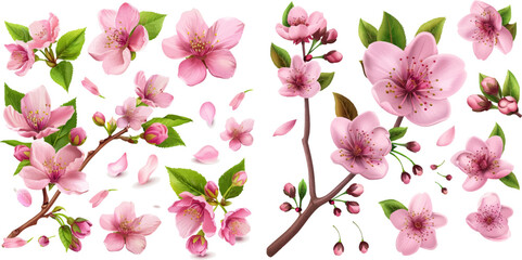 Isolated realistic pink petals, blossom, branches, leaves vector set