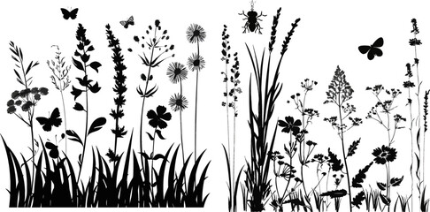 Black silhouettes of grass, flowers and herbs