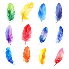 colourful rainbow watercolour feathers set isolated on transparent background