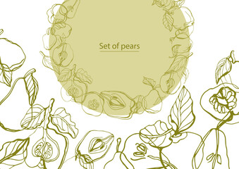Isolated vector hand drawn set of green pears and quince on a white background. Circuit. Vitamins. Fruit.