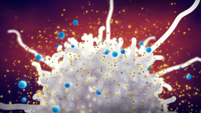 A cytokine storm is the overproduction of cytokines which can lead to organ failure or even death. Macrophage releasing cytokines as a part of the body immune response to viral infection. 