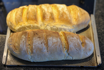 Freshly baked traditional homemade bread