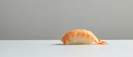 nigiri, with empty copy space, with plain whikte background professional food photography 