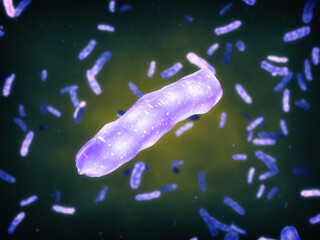 Mycobacterium leprae or Mycobacterium lepromatosis, a gram-positive bacteria which is the cause of leprosy also known as Hansen's disease (HD). Leprosy has existed since ancient times