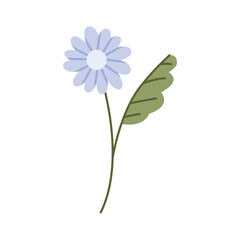 Wild flower illustration