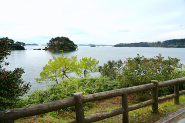 Fototapeta na wymiar Spectacular view of Matsushima, one of Japan's three most scenic views in Miyagi Prefecture of Japan.