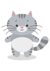 Cute cat isolated on white