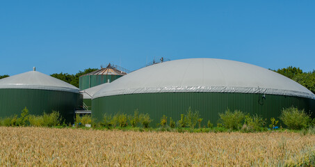 Weizenfeld vor einer Biogasanlage zur Stromerzeugung und Energiegewinnung