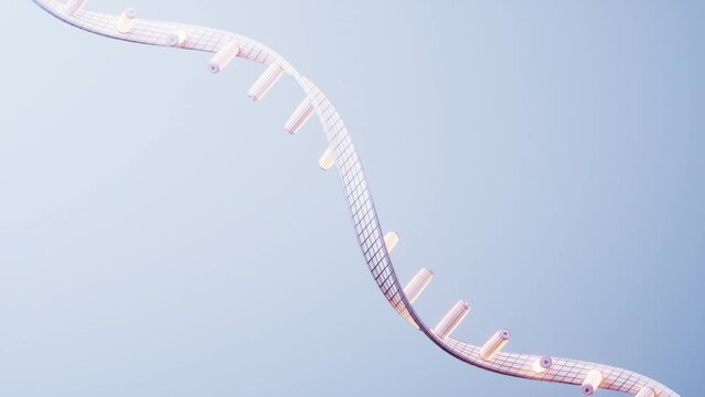 RNA with biological concept, 3d rendering.