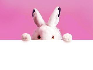 White easter rabbit with sheet for a text writing. Easter concept. Easter bunny.