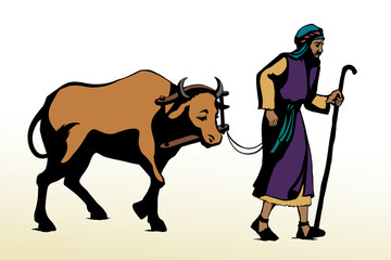 Vector drawing. A man leads an ox