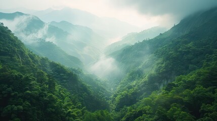 Misty mountains and forest landscape. - obrazy, fototapety, plakaty