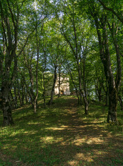 Church of Cheremi village is built of stone and stands in the forest surrounded by grass and trees. An earthen path leads to the entrance. Tree shadows and sun spots on the grass and church. Cheremi 