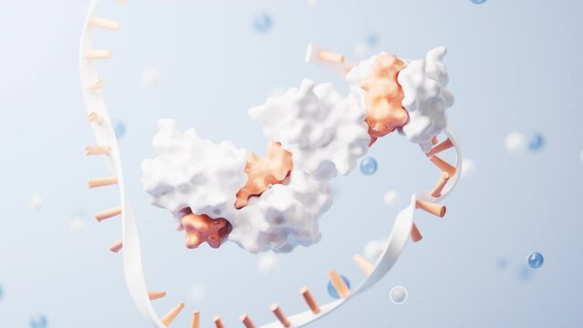 RNA and proteins with biological concept, 3d rendering.