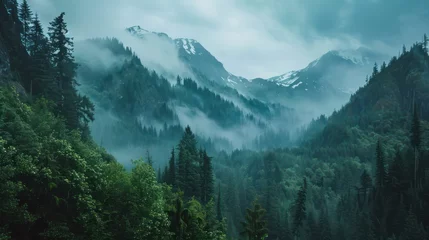 Fotobehang landscape of mountains and forests covered in fog © Matthew