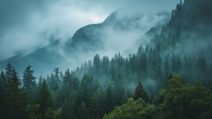A landscape of mist-covered mountains and forests.
