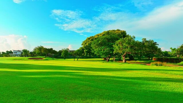 American green field landscape. Beautiful golf course with grass and different types of trees. Empty green grass area for picnic, golf or entertainment on a sunny summer day.