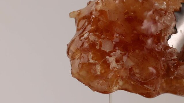 Thick golden yellow Honey slowly dripping from hexagonal wax honeycomb on white background