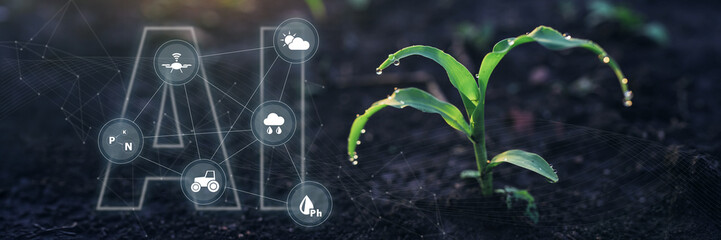 Farm agriculture smart digital technology growing crops using AI and 5G Industry 4 0 technology with benefits for soil and plants. Smart Farming and Agriculture Innovation