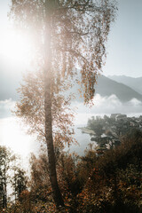 Zell am See in fall, Salzburger Land, Austria - 751323686