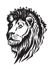 Obraz premium Portrait of lion in tattoo style, graphical illustration on white background