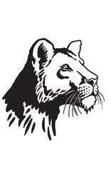 Graphical portrait of lioness watching right on white background, ink-pen illustration,tattoo design	