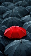 A red umbrella among the black umbrellas. Contrast concept.