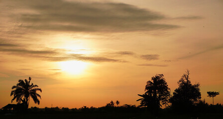 Fototapeta premium Sunset over quiet rural rice fields