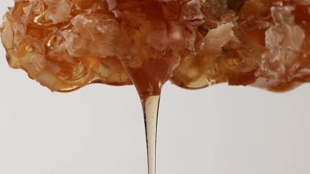 Thick golden yellow Honey slowly dripping from hexagonal wax honeycomb on white background