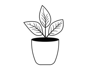 Plant in pot vector icon for home decoration. Houseplant black and white line illustration.