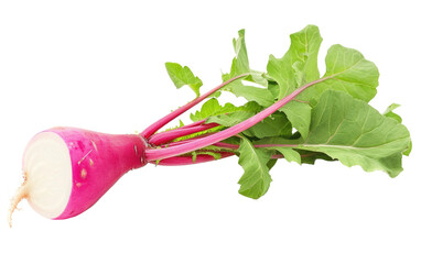 Partially Radish isolated on transparent Background