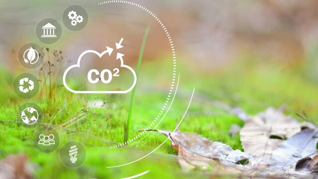 Green energy concept help reduce global warming.Carbon dioxide emission in industry zero carbon concept. 4K