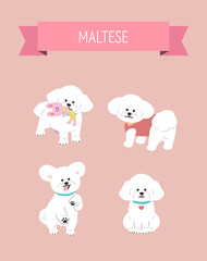 Let's meet at the Cute Puppy Festival