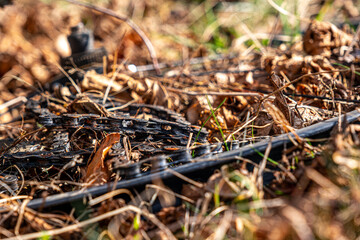 used bike parts, chain, wheel and sprockets thrown into the leaves